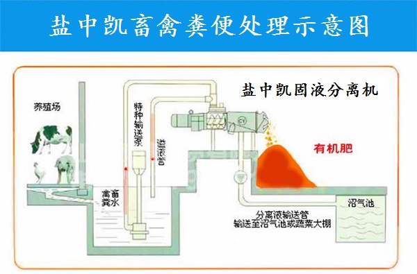 香蕉永久免费精品视频机